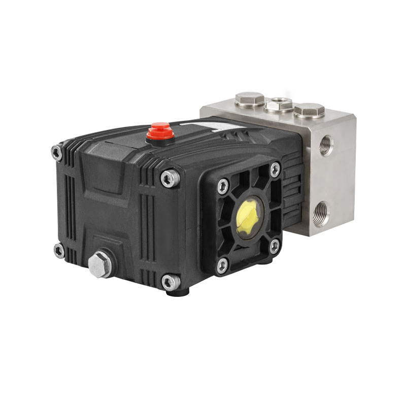 JPBF-N0810 Hochdruck 8Lpm 100Bar Heavy Duty S.S Triplex-Kolbenpumpe für Entsalzungsanlage