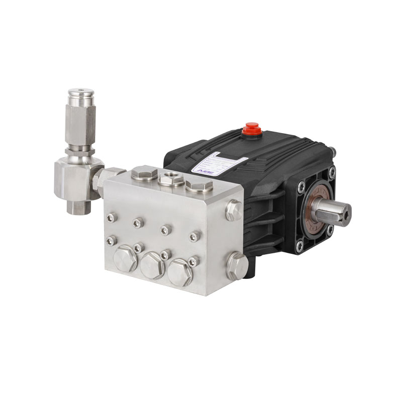 JPBF-N0810 Hochdruck 8Lpm 100Bar Heavy Duty S.S Triplex-Kolbenpumpe für Entsalzungsanlage